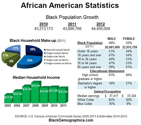 african american statistics in the united states