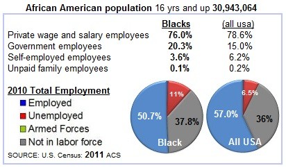 WP Employment Chart 2010 2011