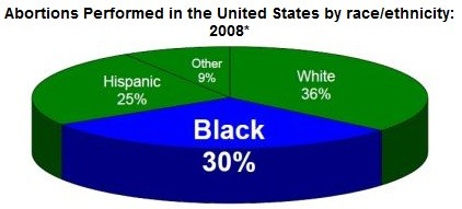 [Image: wp-Abortions-performed-by-race.jpg]