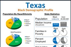 austin texas african american population austin texas african american population