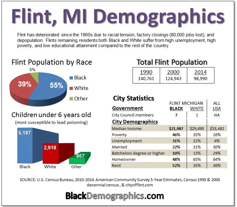 Flint Demographics Charts 2