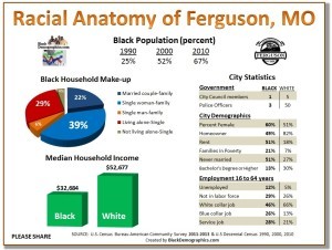 Ferguson Demographics