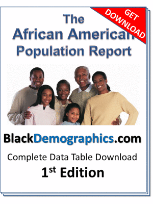 African American Population Report 4