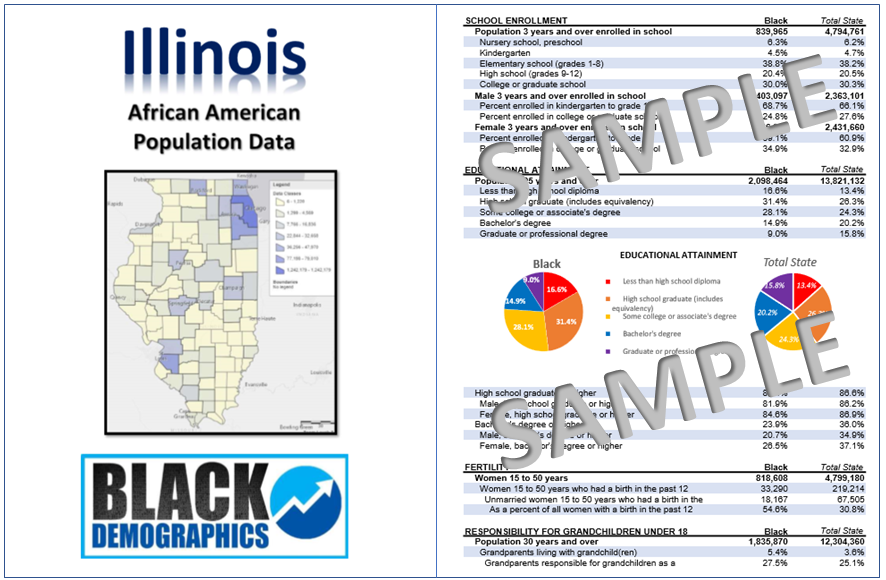 Illinois Data Report Download