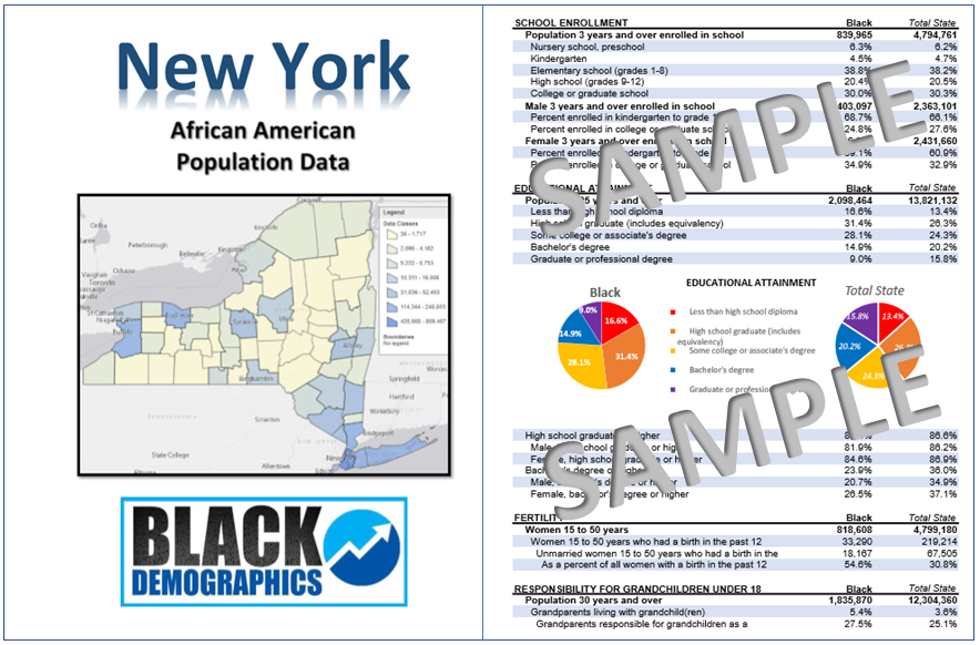 new york state facts population with clipart