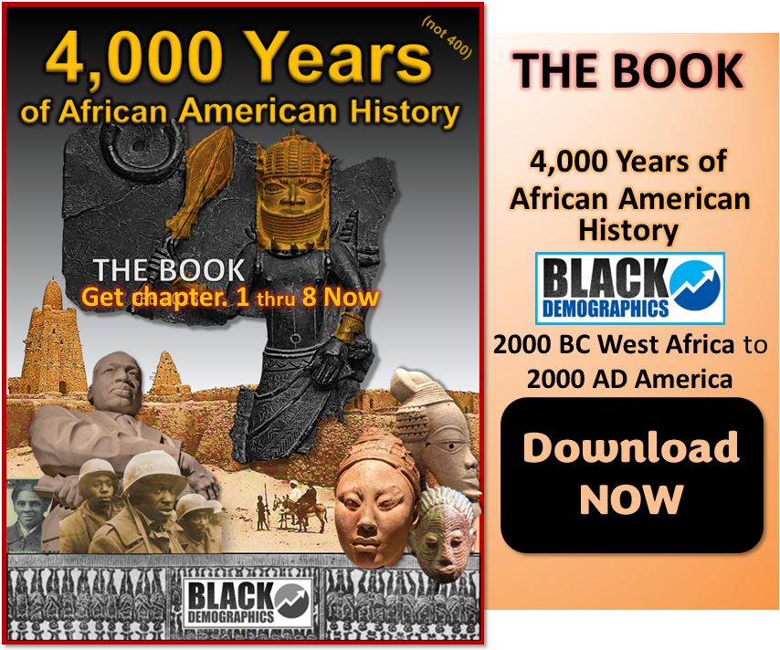 The Black Book (African-American History)