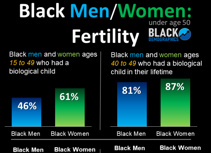 Exploring Black Fertility and Family Trends