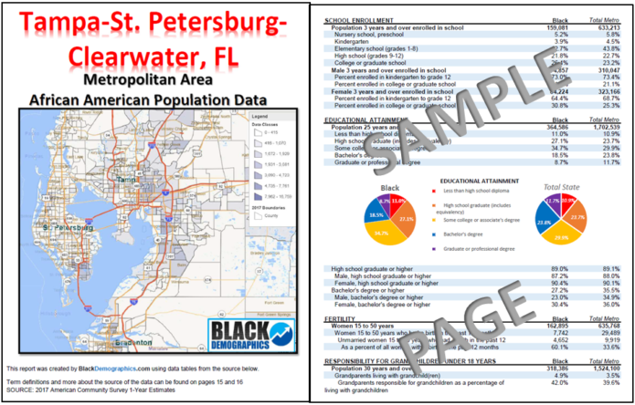 Tampa-St. Petersburg-Clearwater, FL Data Report Download ...